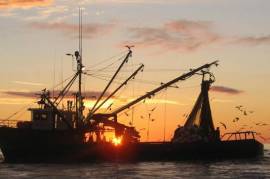 Maritime Product - Commercial Fish Finding & Fishery System - Kongsberg Maritime Norway