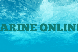  Marine Online